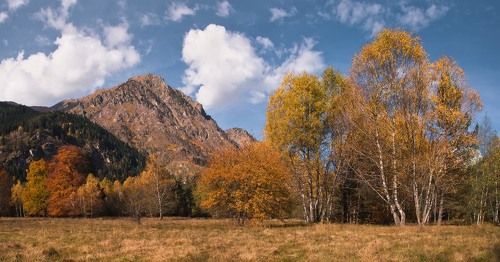 Осени последние штрихи