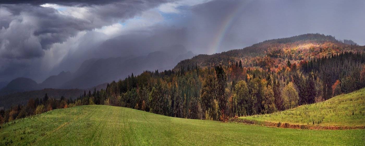 swiss, Матвеев Николай