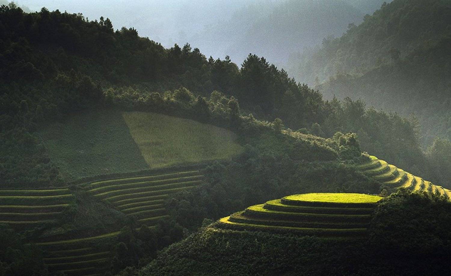 vietnam, mucangchai, вьетнам, hai, Hai Trinh Xuan