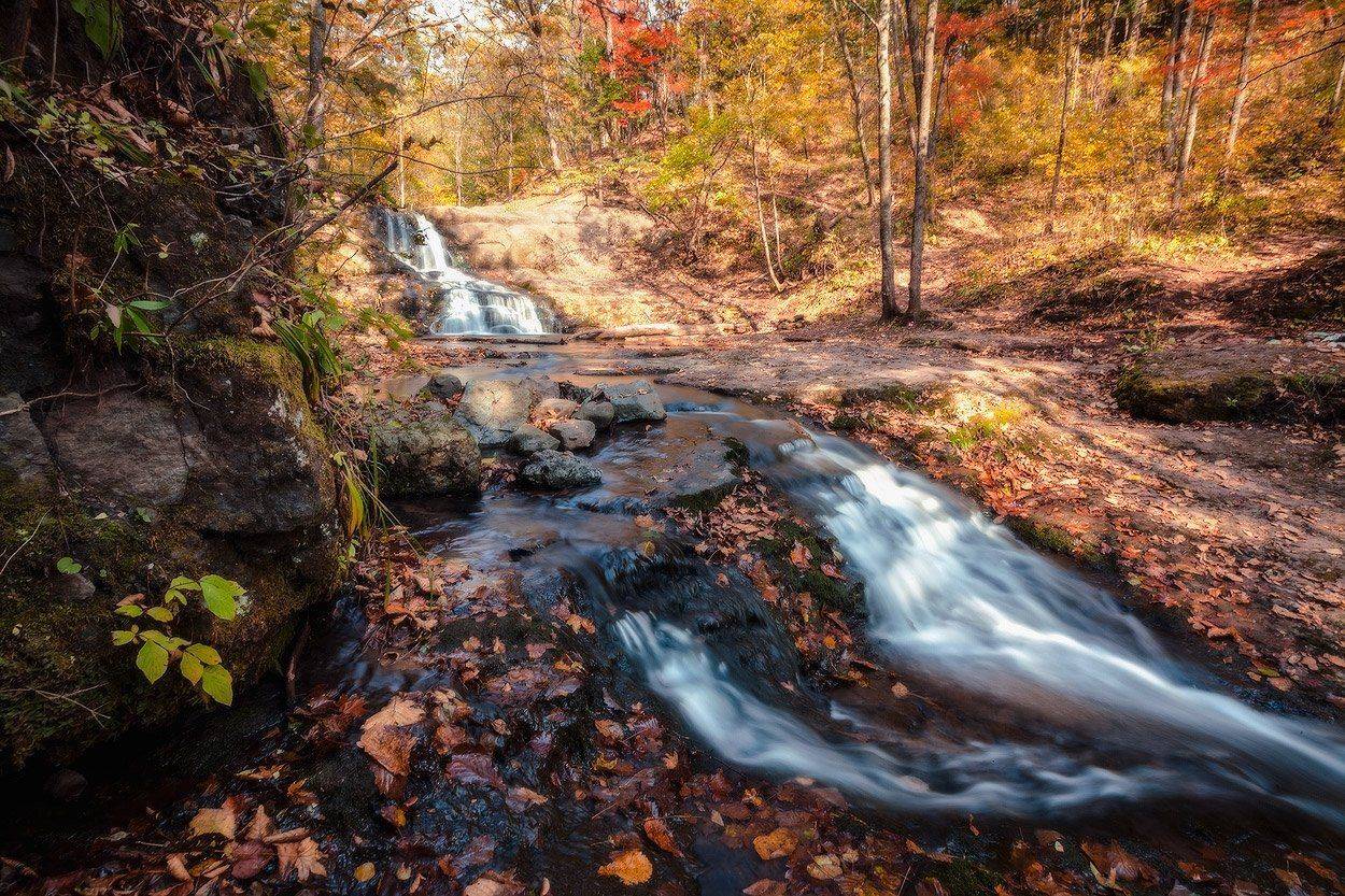осень, Андрей Кровлин