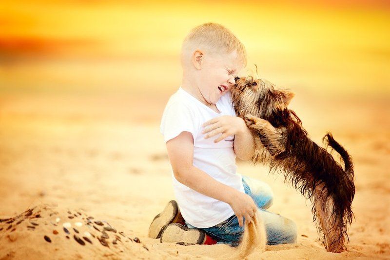 фото превью