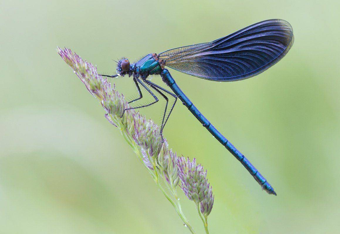 , Андрей Канышев