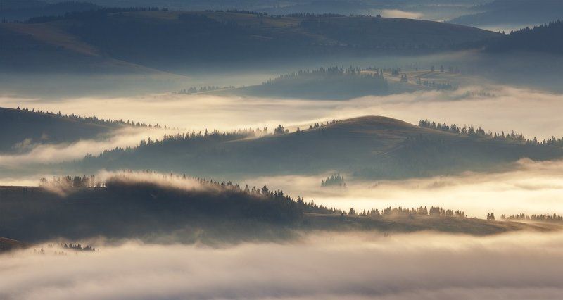 Карпатское спокойствие фото превью