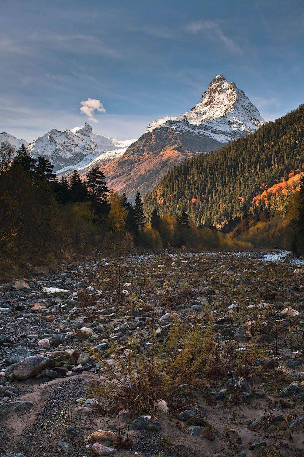 , Николай Мысливцев