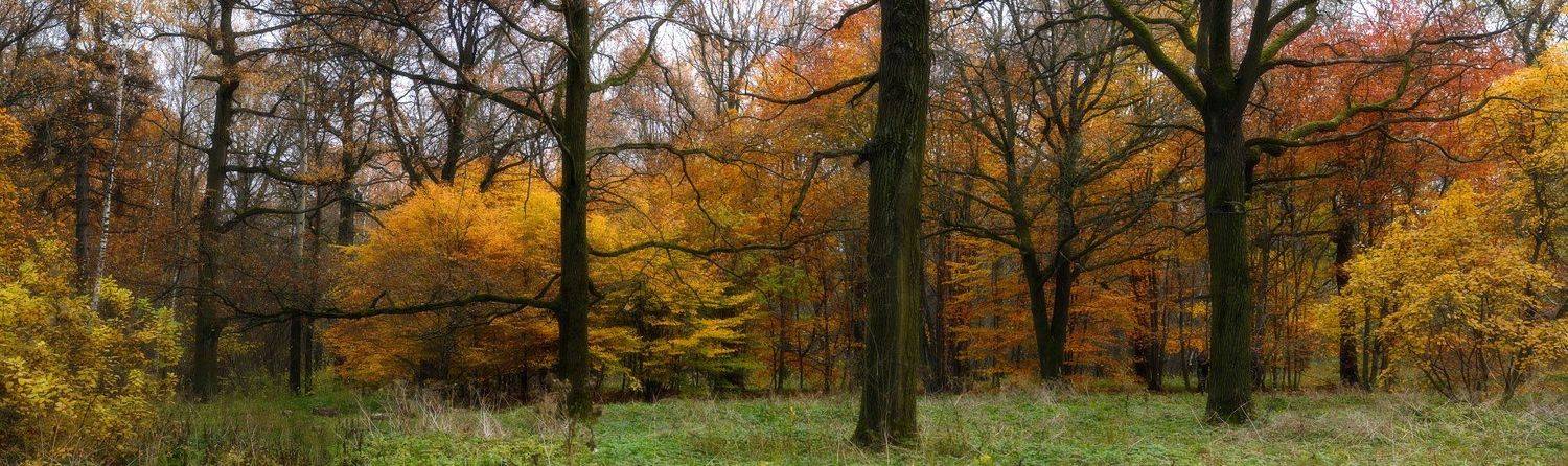 , Сергей Седов