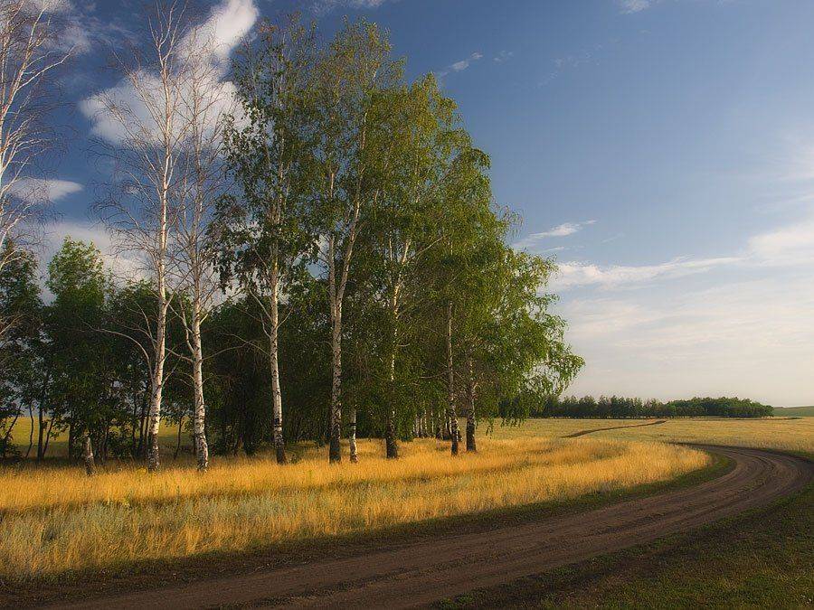 , Федотов Антон