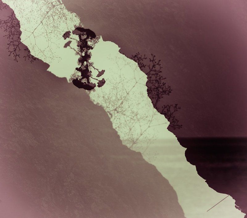 мультиэкспозиция, мультик  фото превью