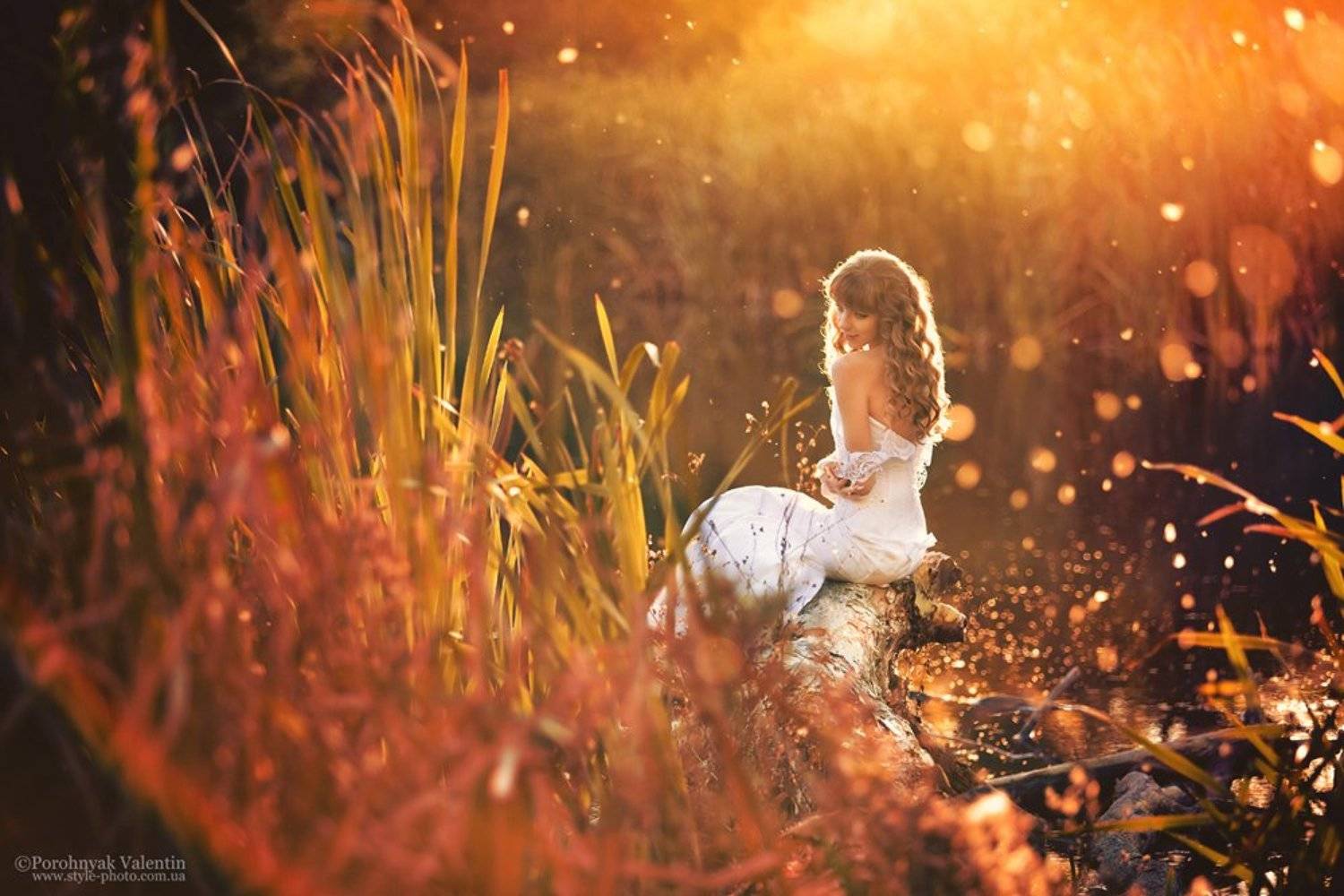 , Порохняк Валентин