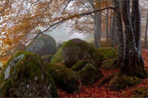 Autumn