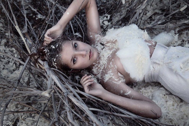 фото превью