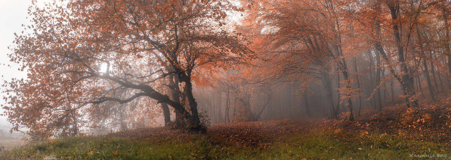 , Wolodymer Mjaskowskuj