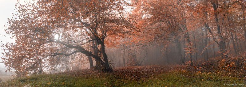 **** фото превью