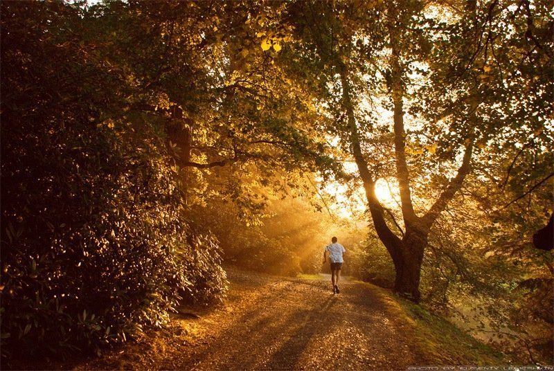 В погоне за временем.. фото превью