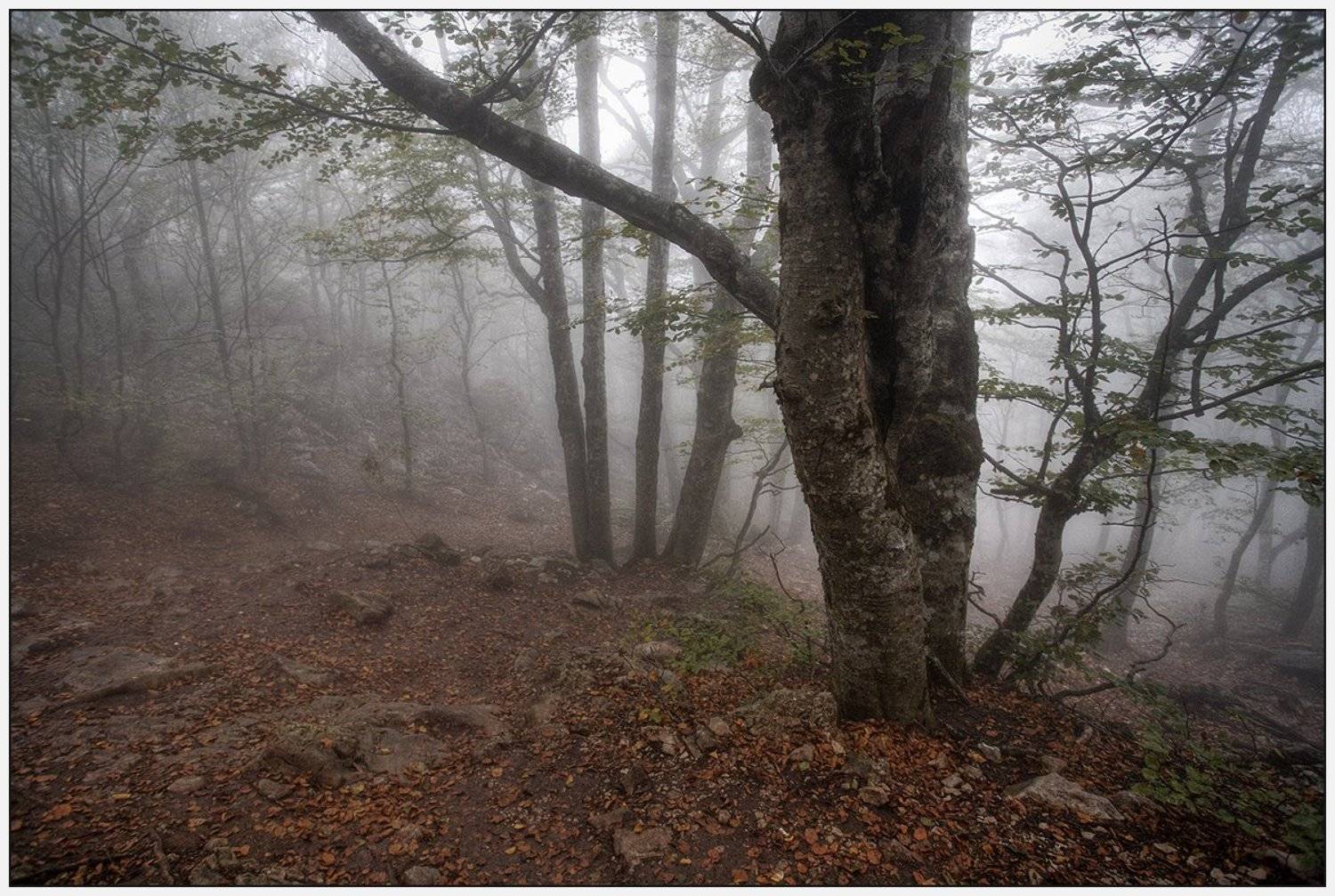 , Олег Дунаев