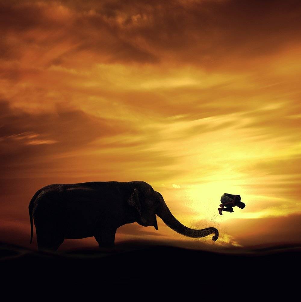 , Caras Ionut