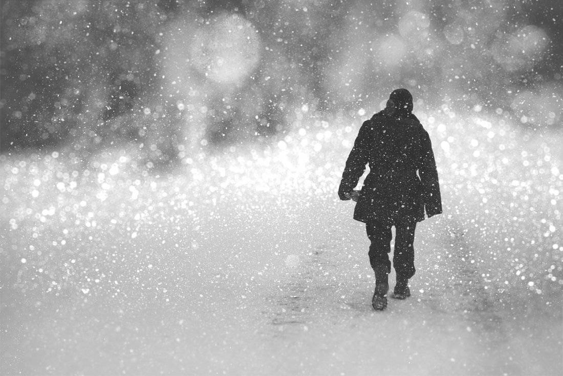 , Роман Глосс