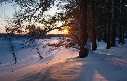 Морозный вечер.
