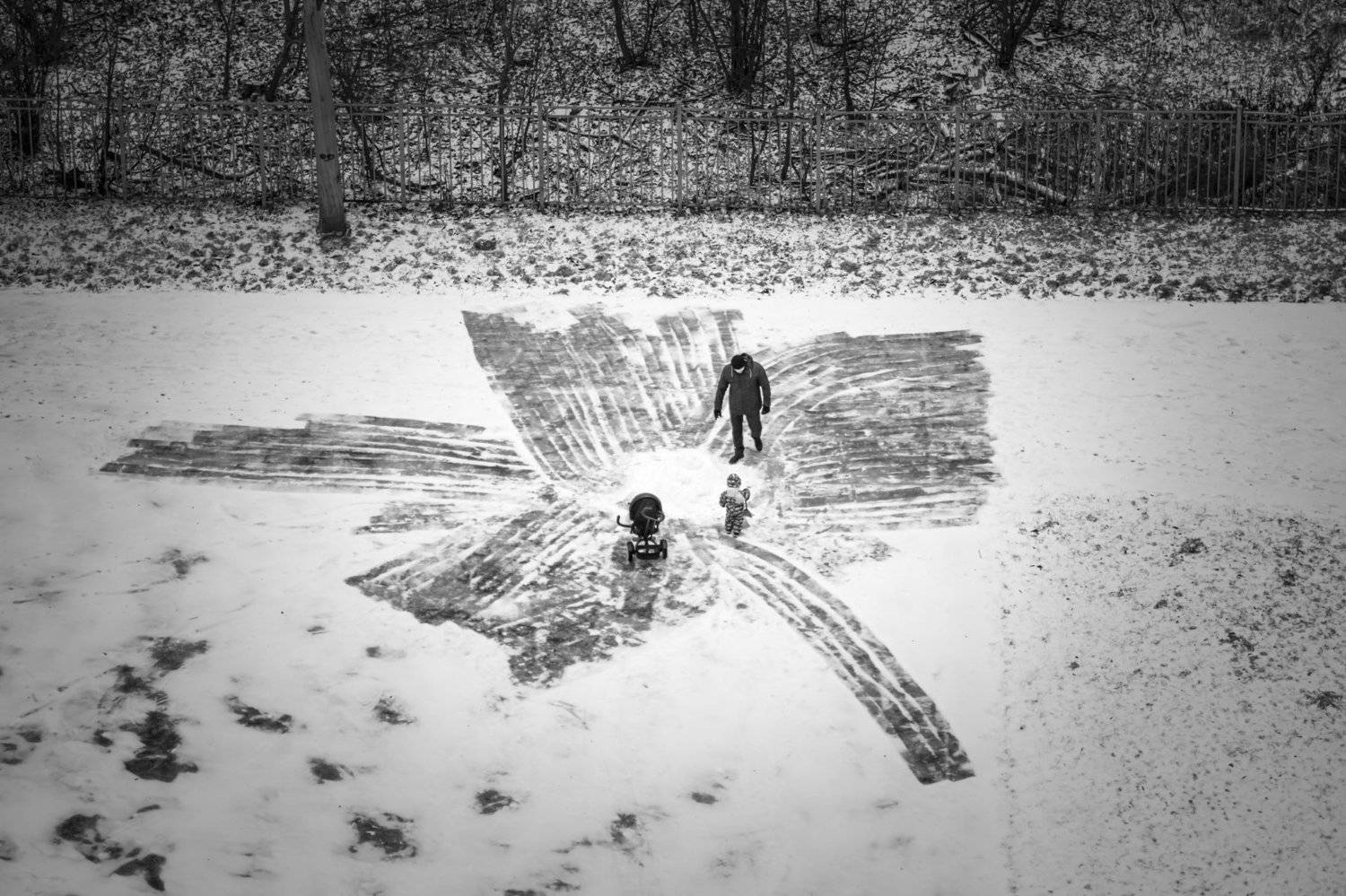 , Алексей Федотов