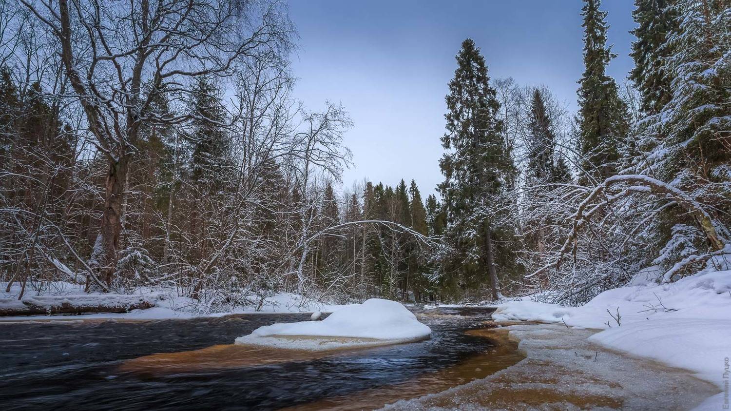 , Евгений Луцко
