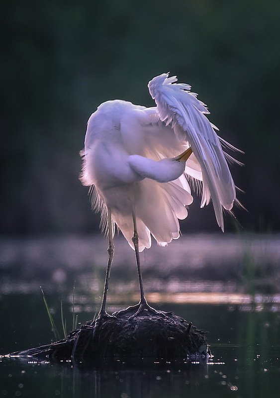 Перед свиданием фото превью