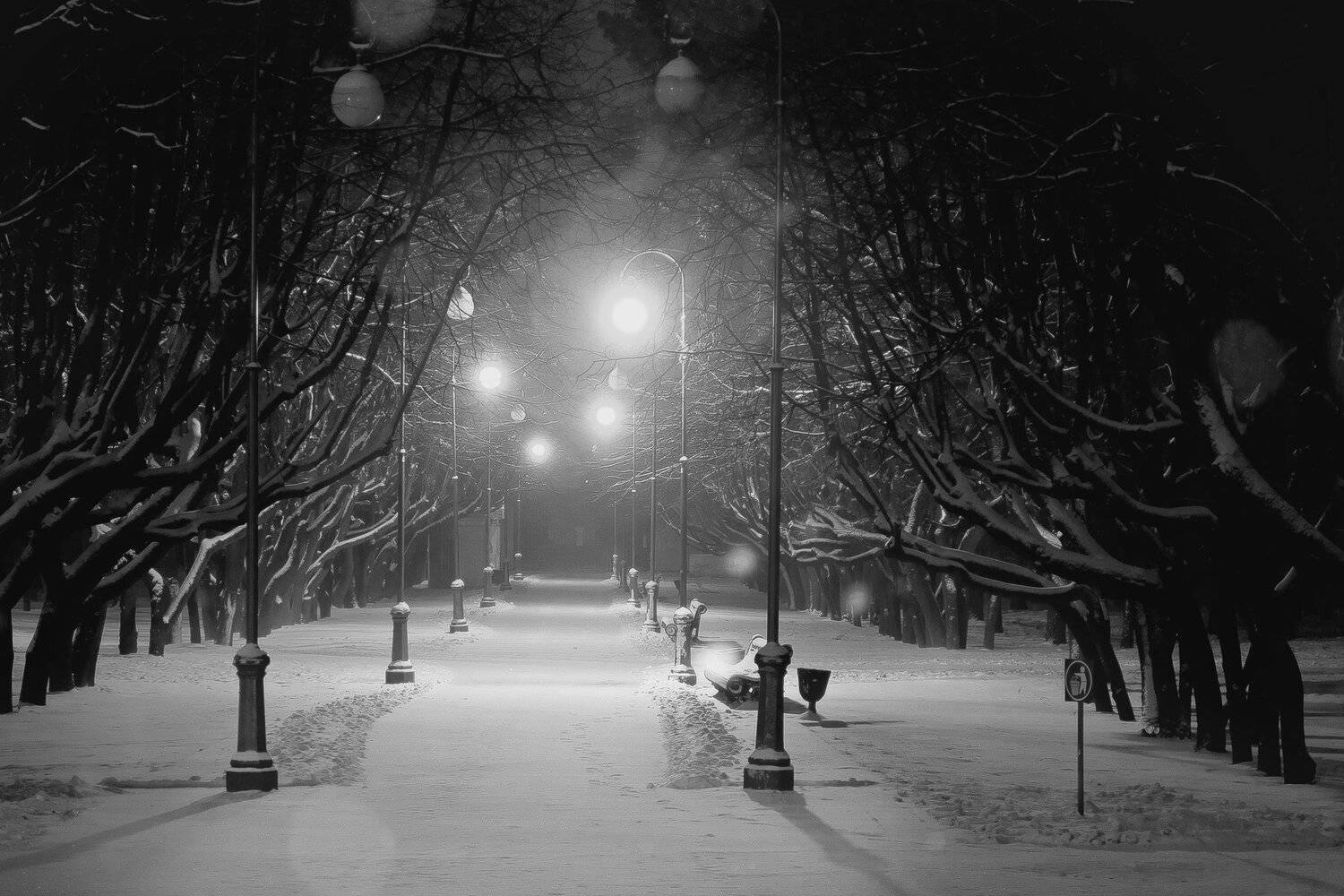 forest, minsk,belarus,city, citylife, citylights, citynight, cityscape, cityscapes, forest, light, lightning, nature, naturelandscape, naturephotography, night,nighttime ,winter ,winterlandscape, зима, ночь, снег, минск, беларусь, Полина Хрол