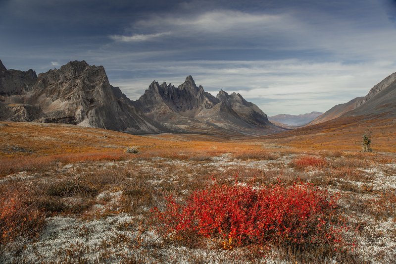 yukon, tombstone ЮКОН В ЦВЕТЕ фото превью