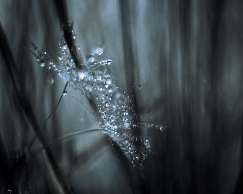 Унесенные ветром... фото превью