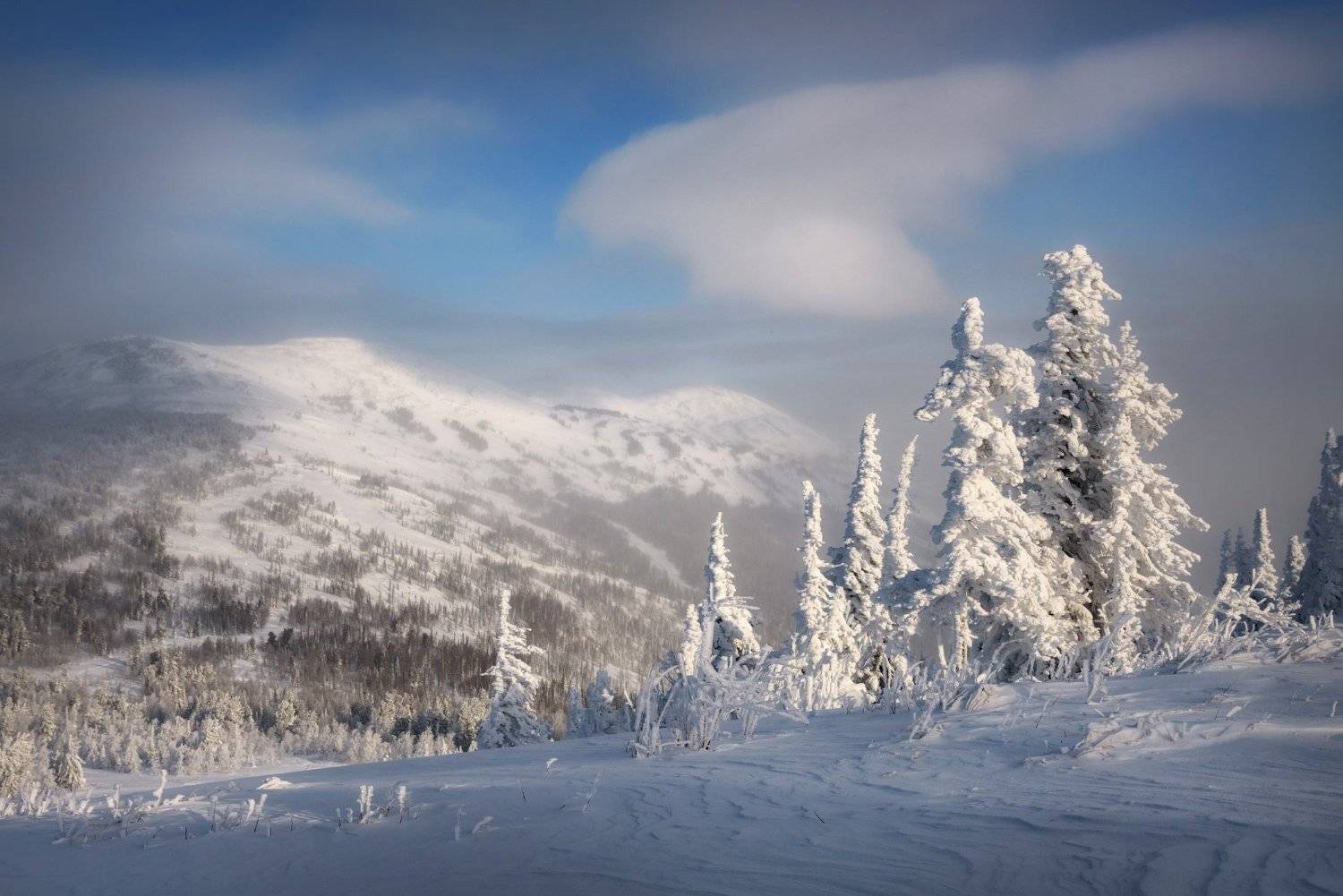 шерегеш, горная шория, кемеровская область, гора мустаг, горы, куржак, иней, елки, ели, зимний пейзаж, снег, снежный ноябрь, Алена Рубан