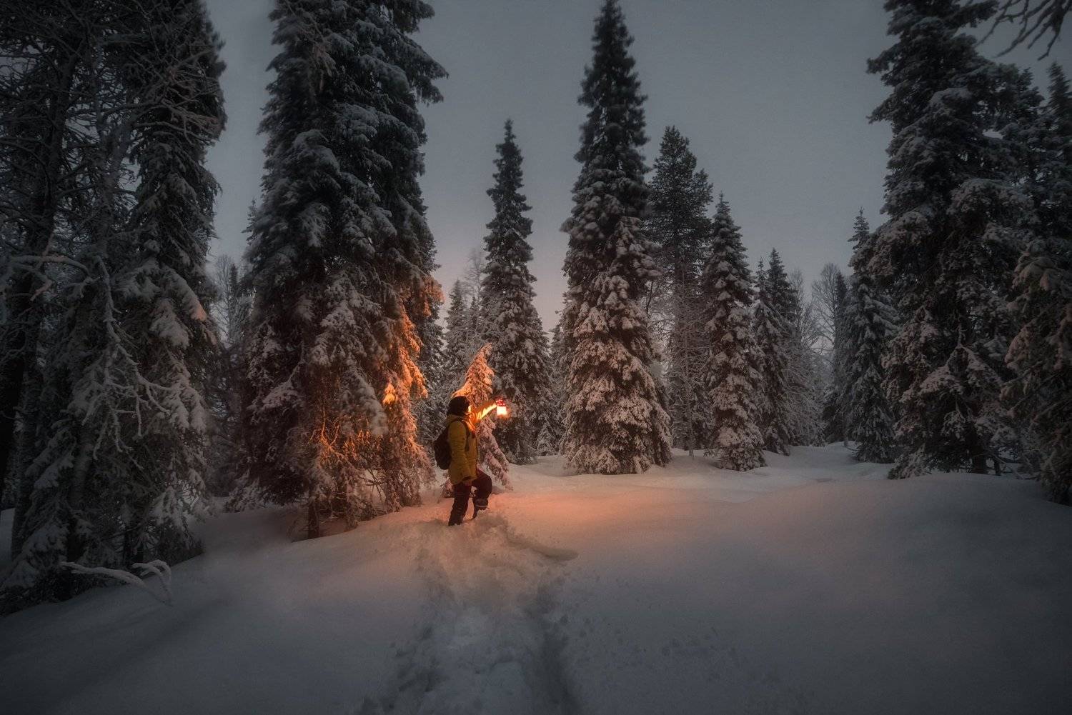 , Юрий Столыпин