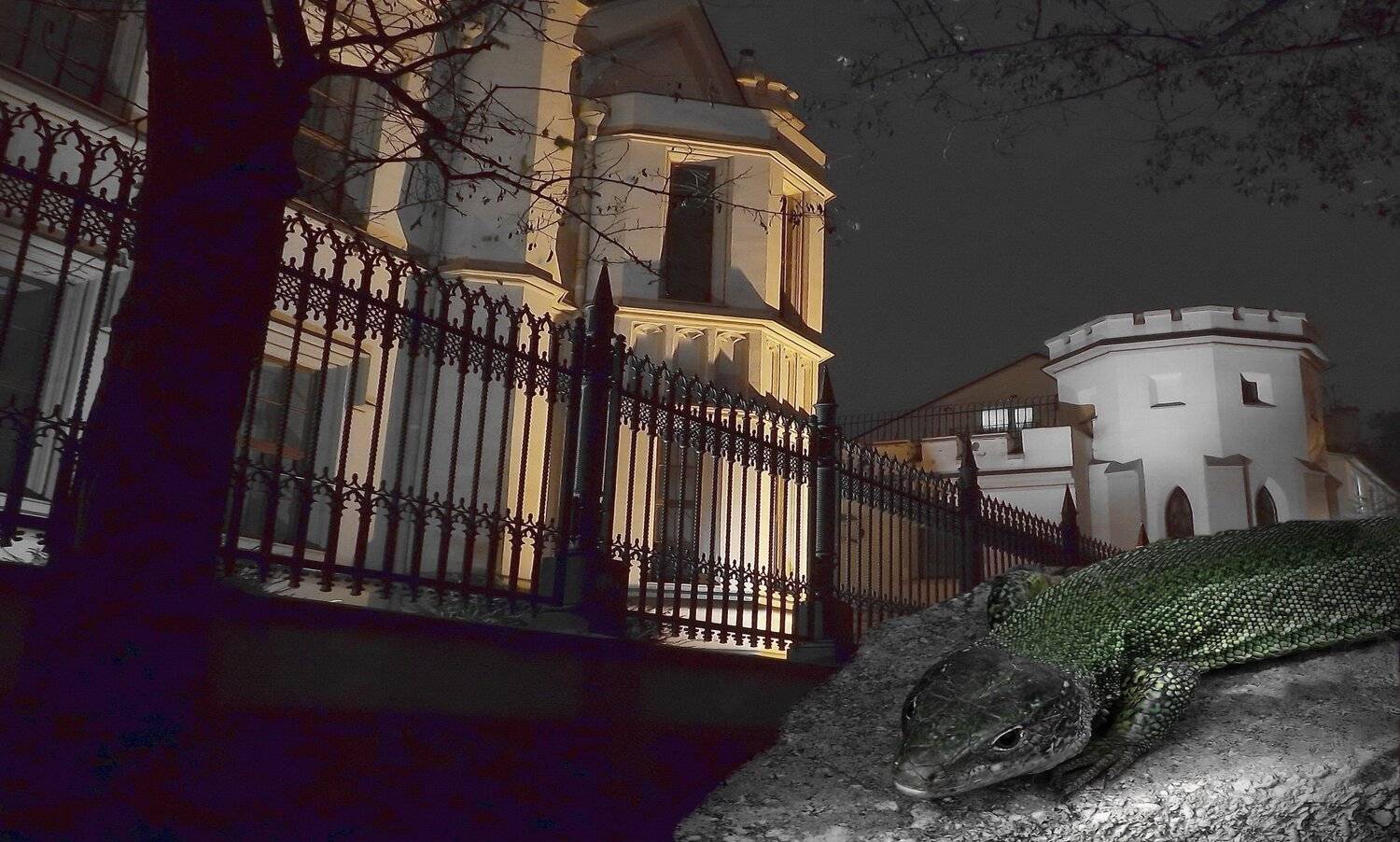 одесса, Сергей Кошелев