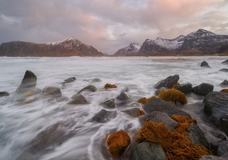Pink sunset in the Lofoten. фото превью