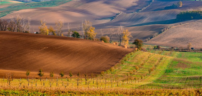 Moravian hills фото превью