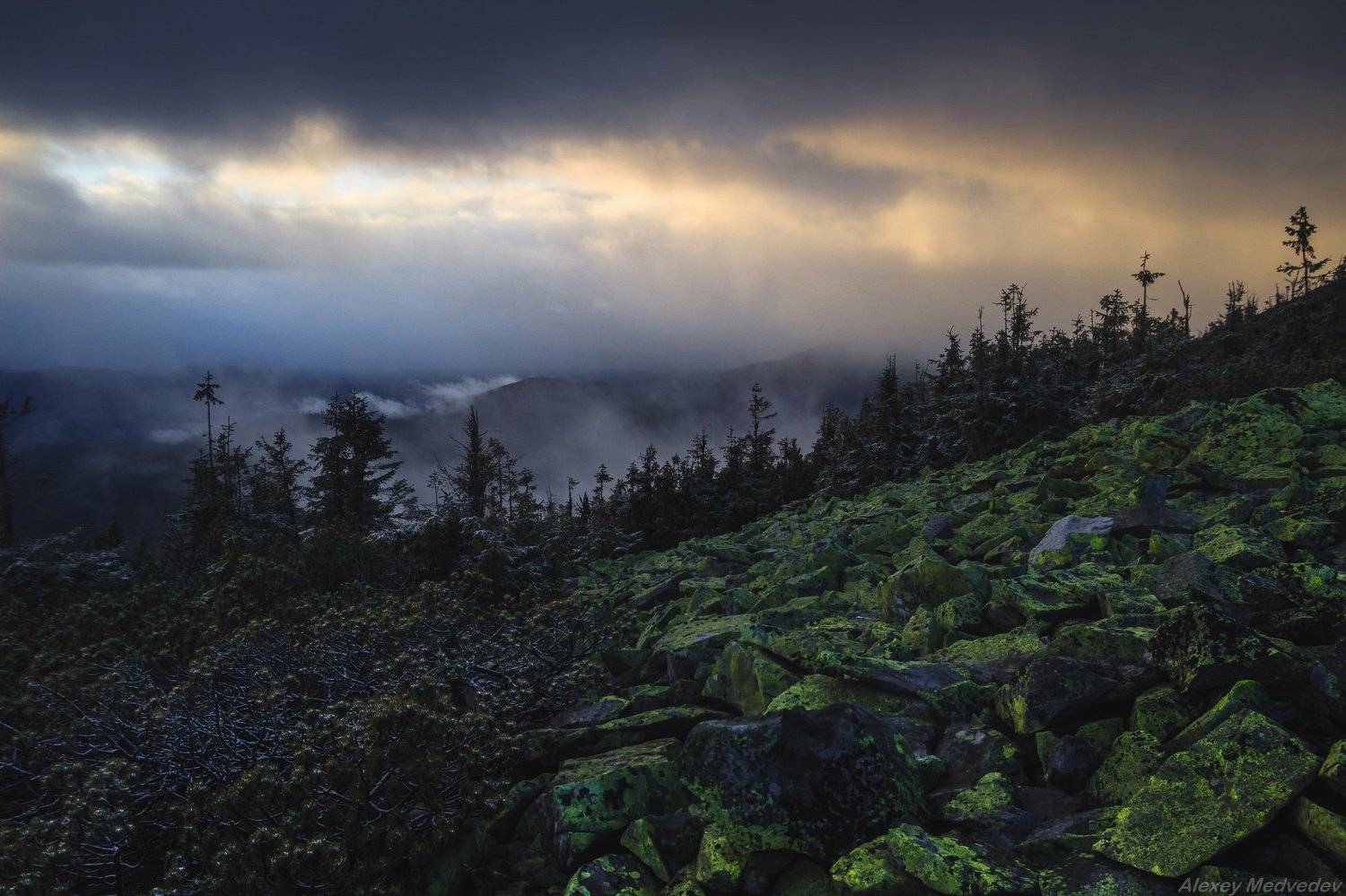 Карпаты, Украина, горганы, Алексей Медведев