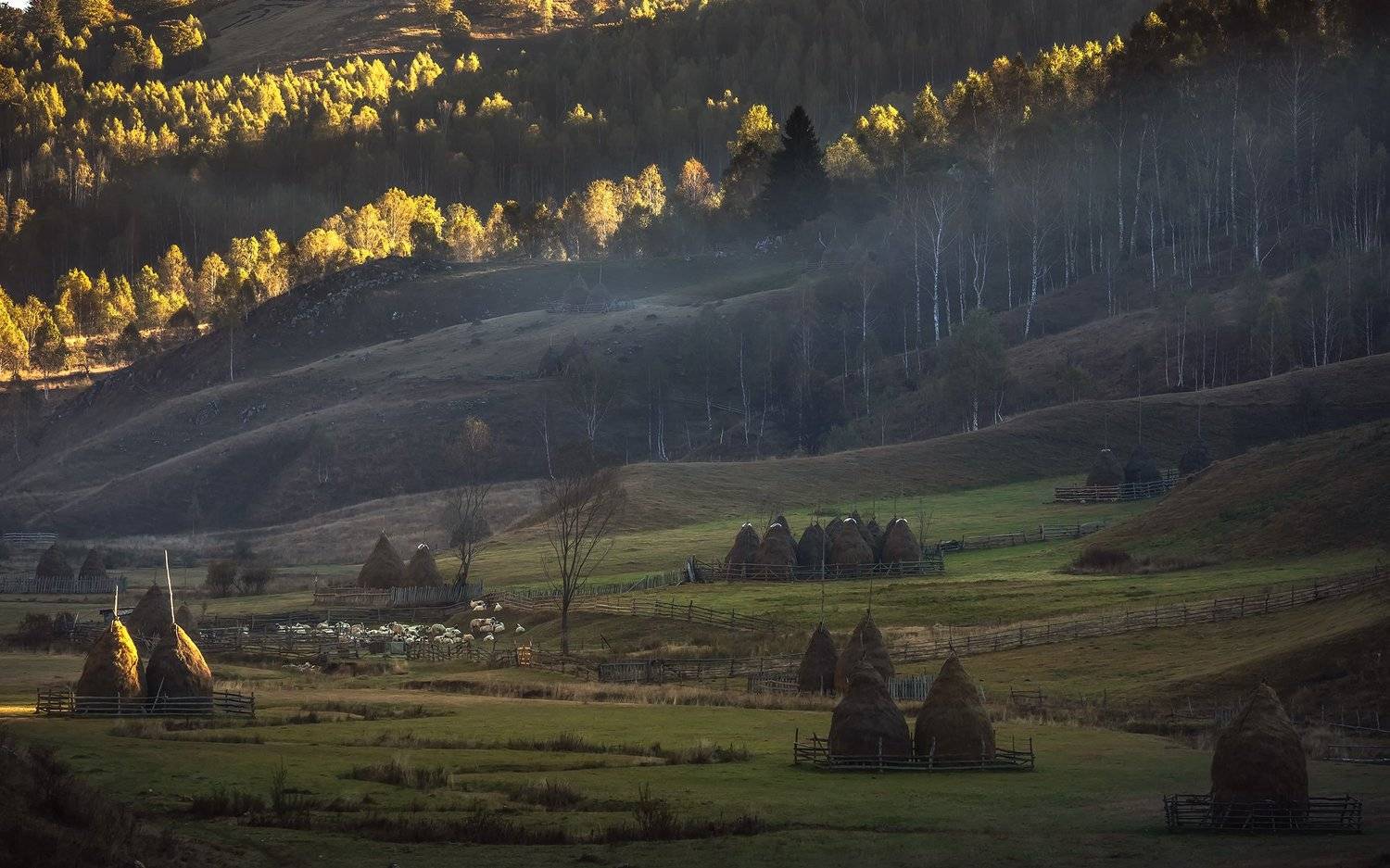 , Елена Маковоз