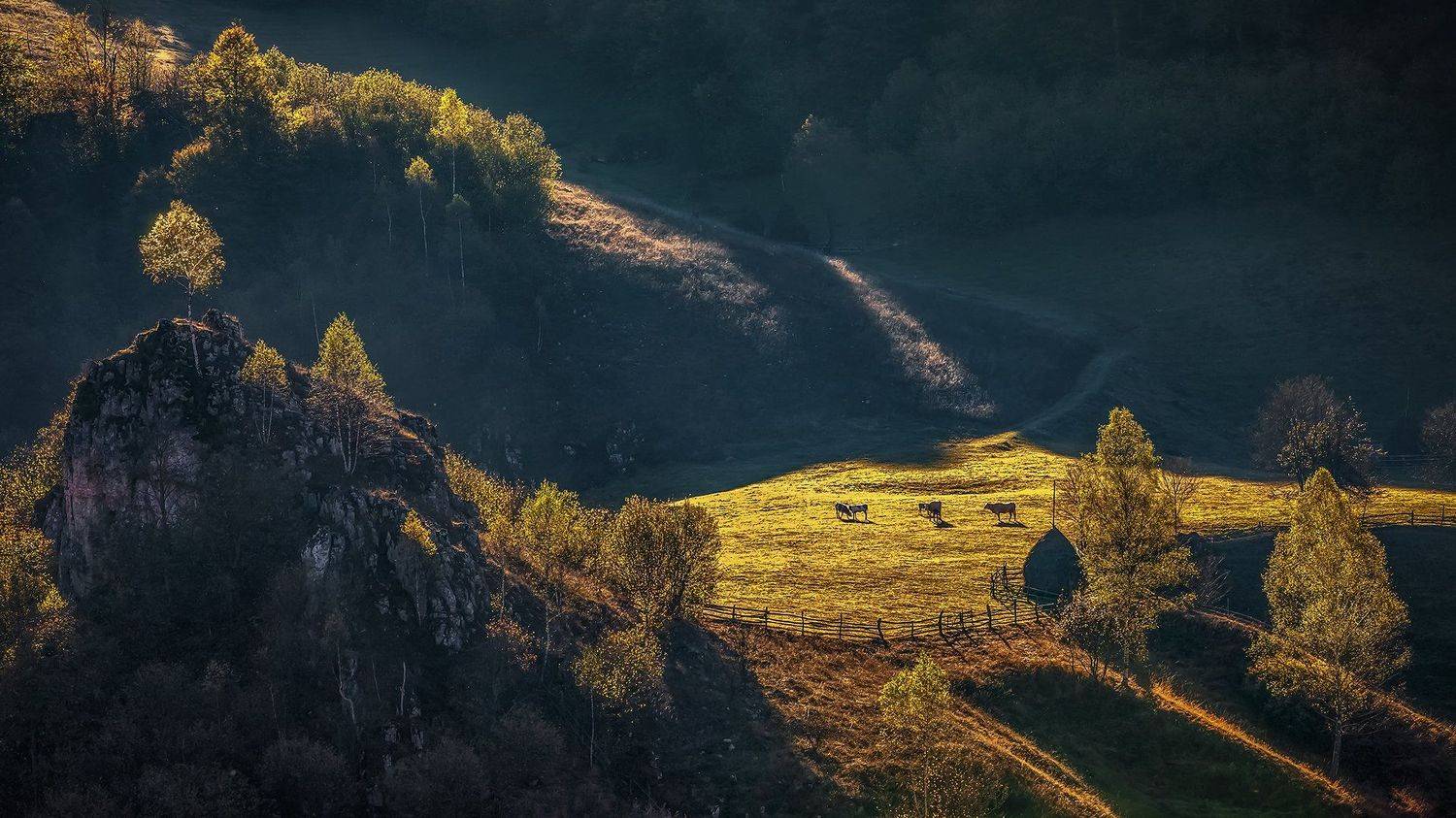 , Елена Маковоз