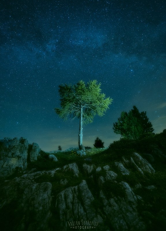 доломиты, dolomiti, dolomites, night, ночь, milky way, млечный путь, дерево Ночной пейзажик из летних Доломит 2 фото превью