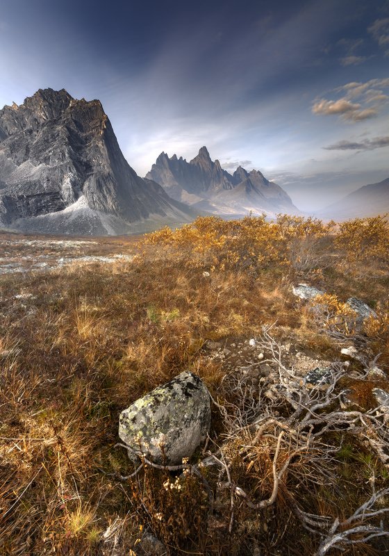 ЗОЛОТО ЮКОНА фото превью