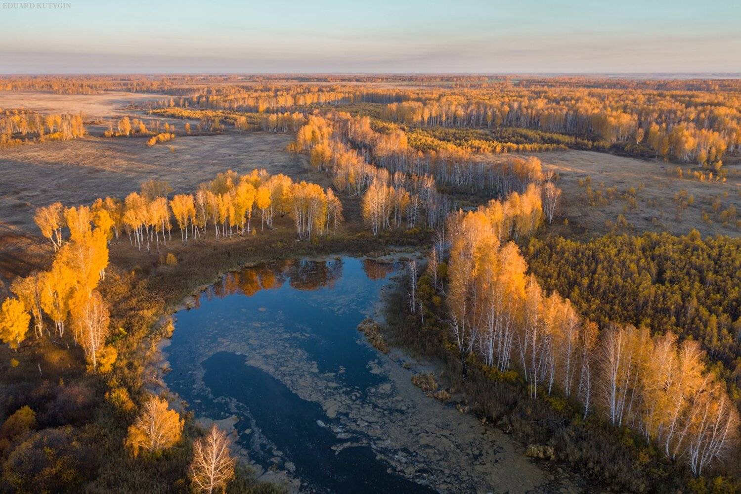 Курганская Шадринск, Кутыгин Эдуард
