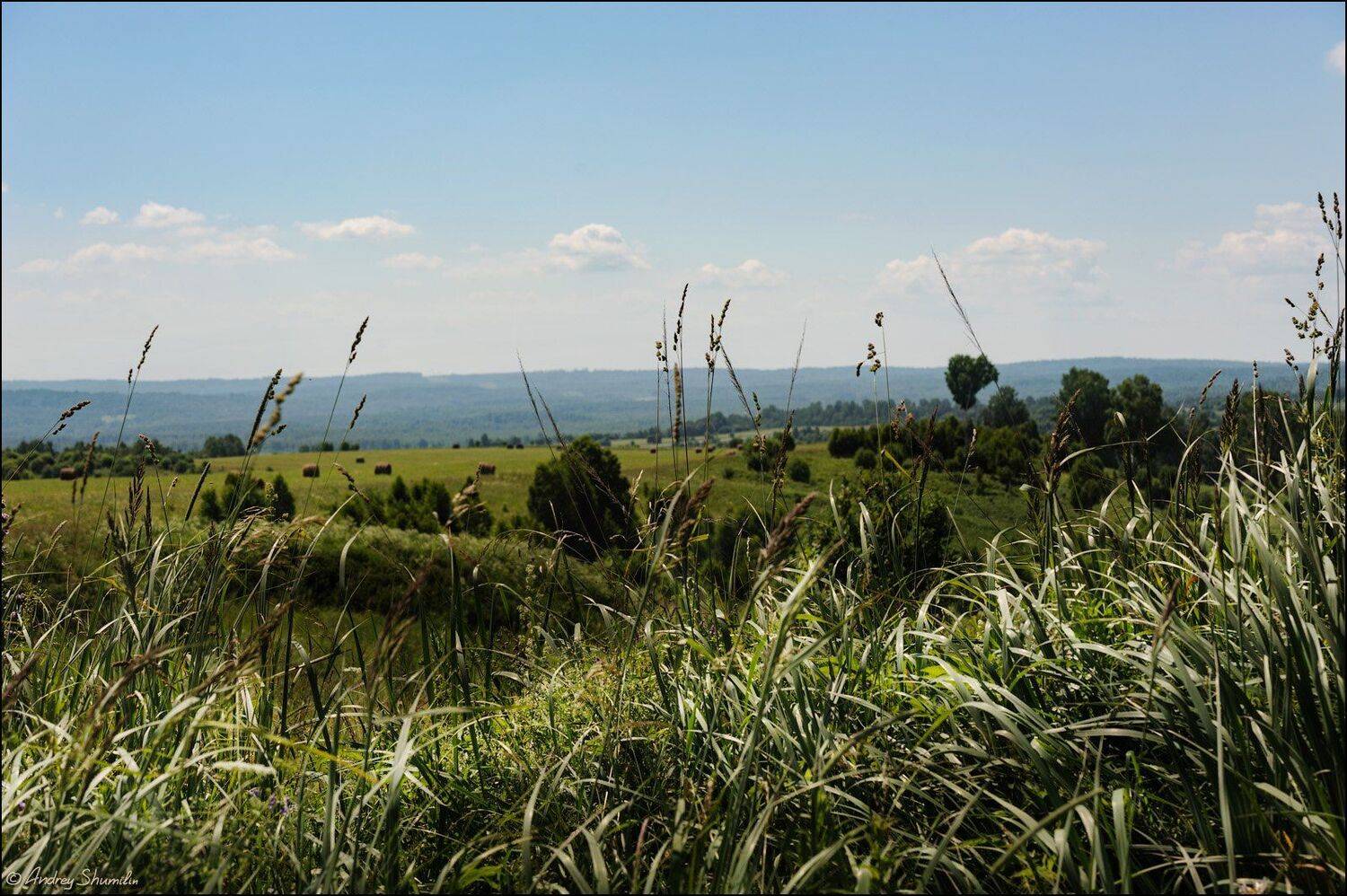 , Андрей Шумилин