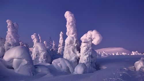 По следам фотографа