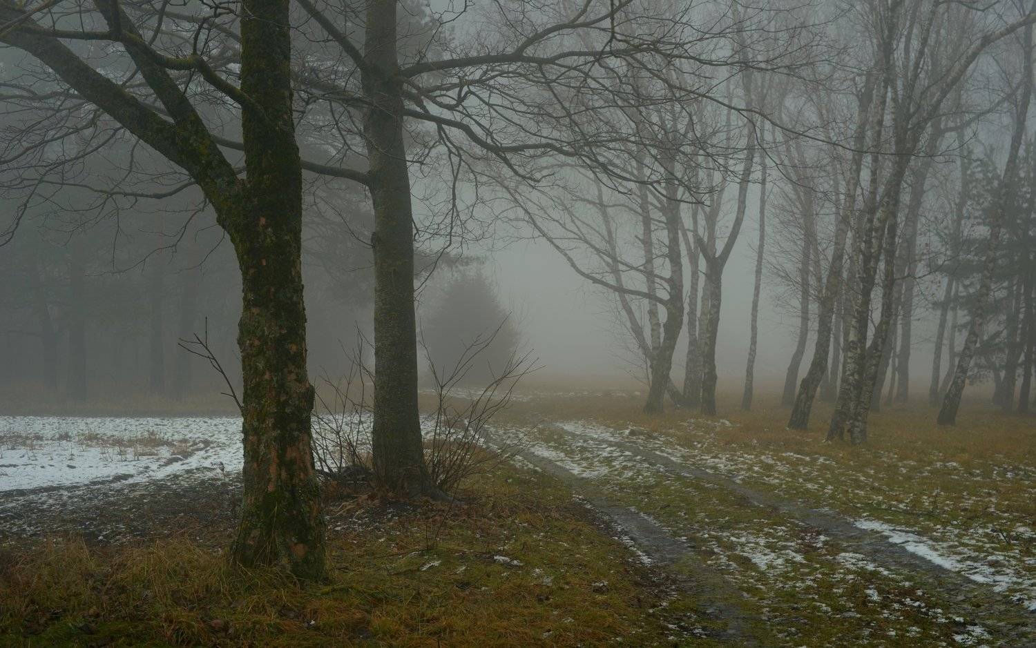 зима утро туман, Александр Жарников