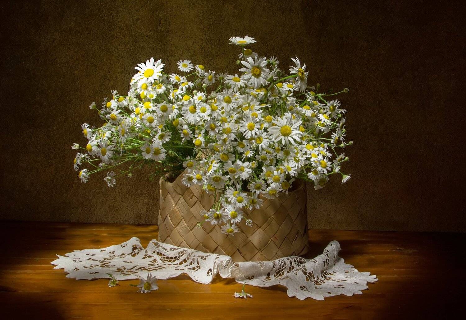 натюрморт, ромашки, Татьяна Феденкова