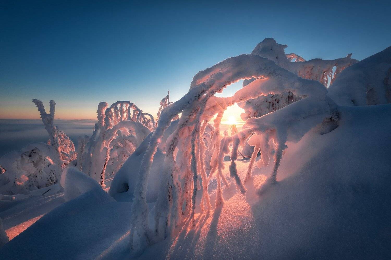 рассвет, солнце, мороз, утро, гора, крестовая, деревья, губаха, пермь, Андрей Чиж