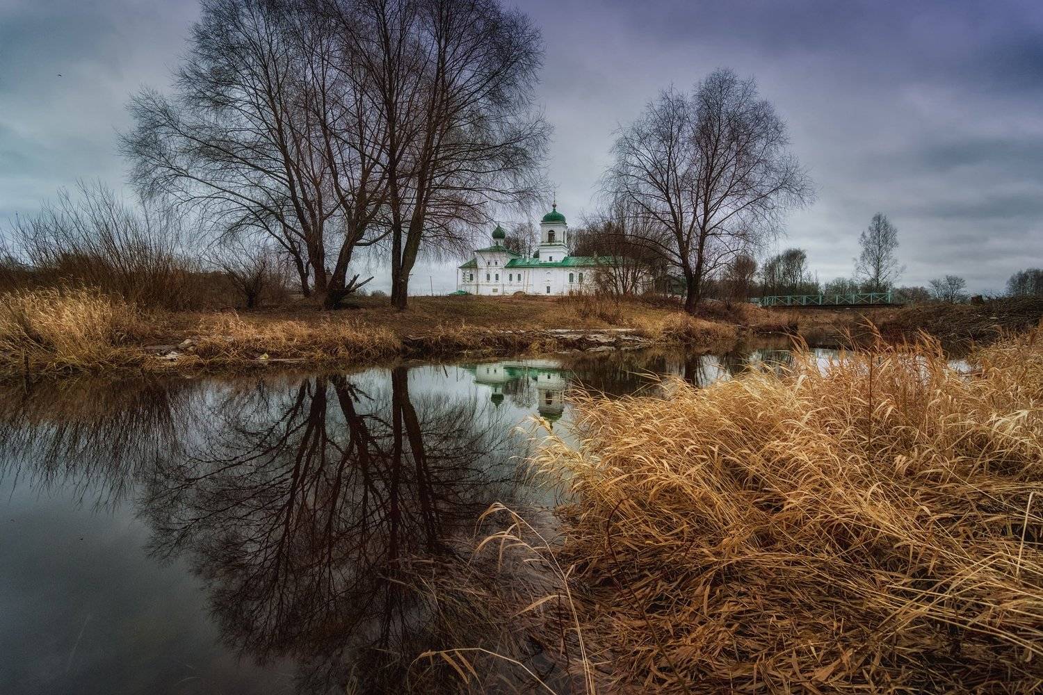 псков, пейзаж, монастырь, Майя Афзаал