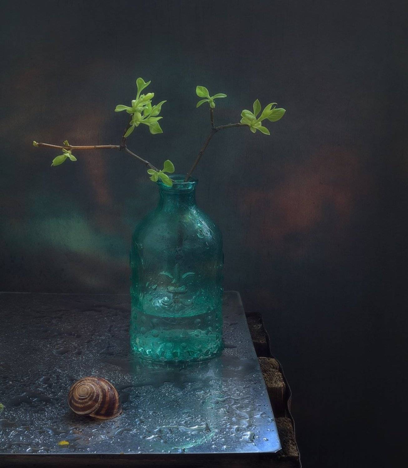 натюрморт,листочки,весна,  Наталия К