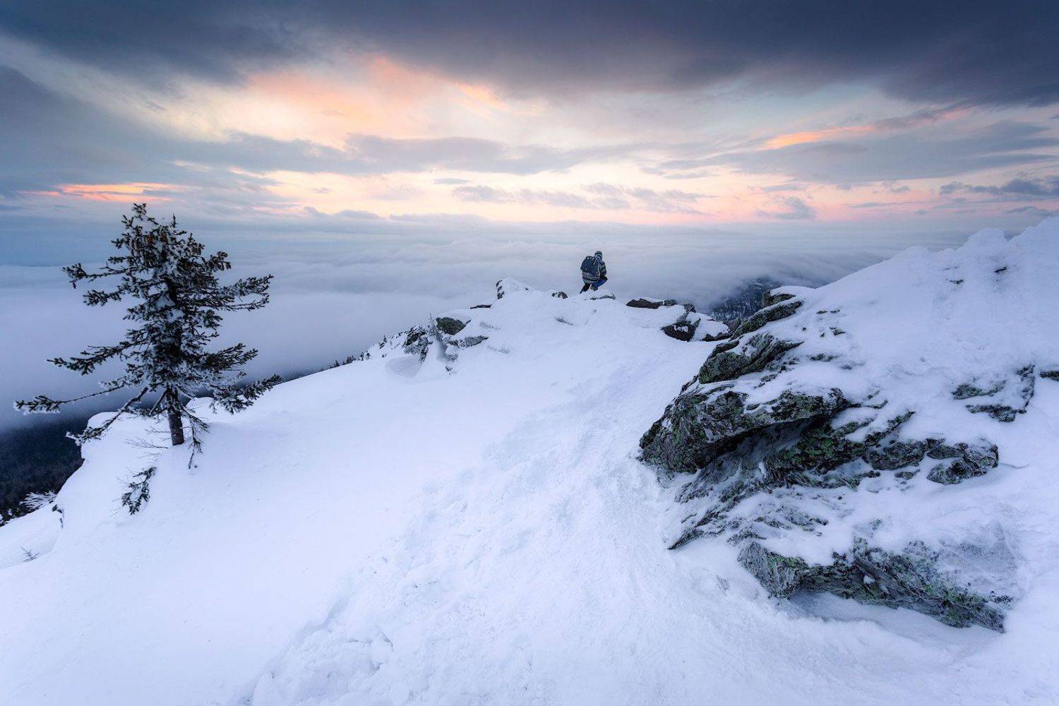 , Игорь Криницын