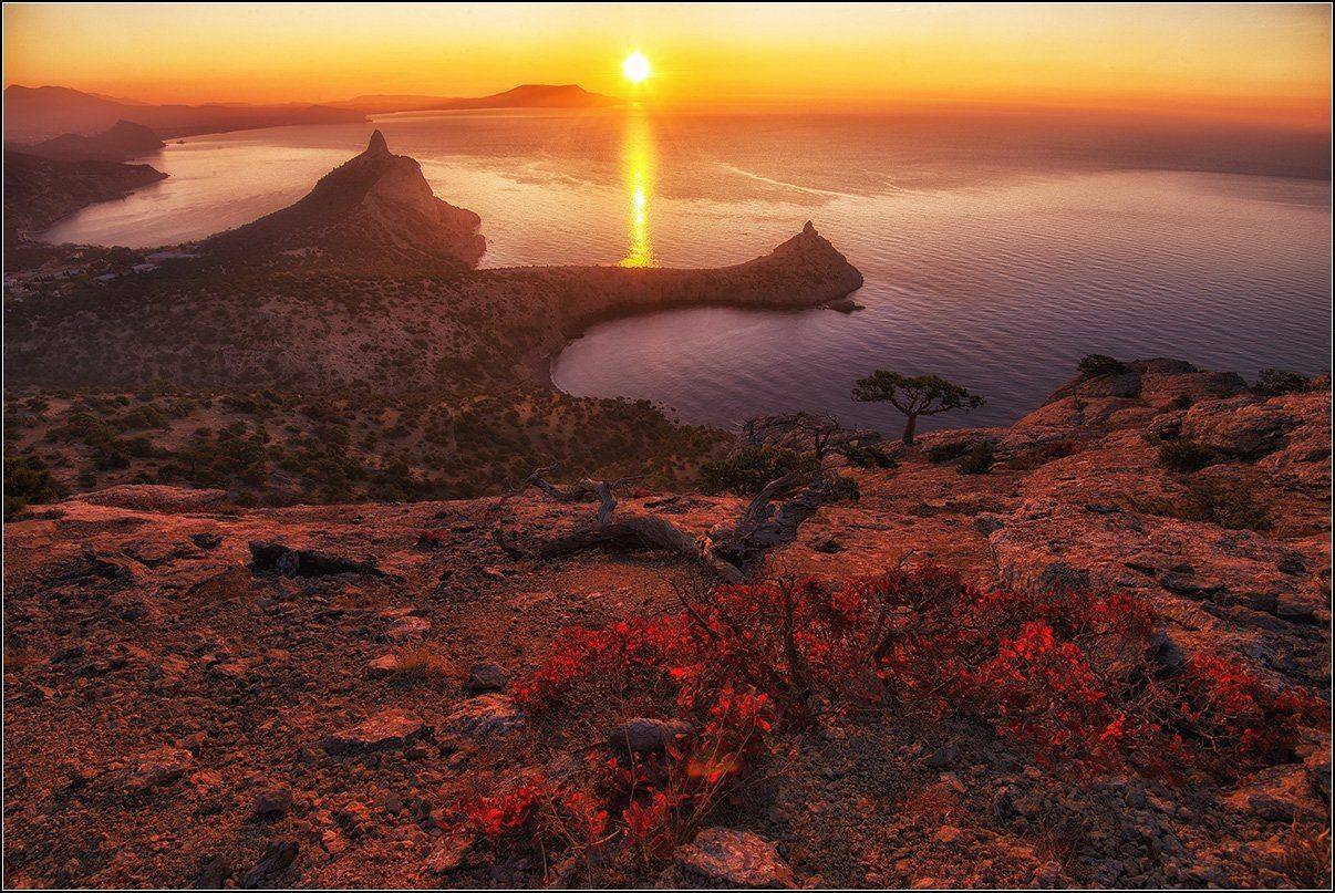 крым, новый свет, утро, солнце, море, дорожка, АНАТОЛИЙ ДОВЫДЕНКО