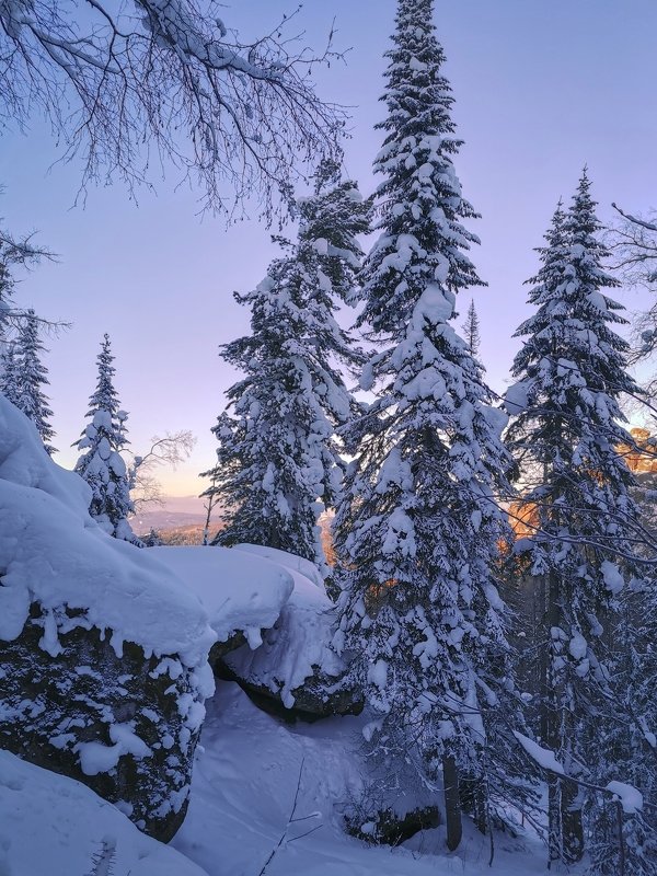 В заповеднике фото превью
