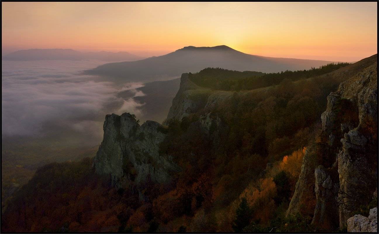 , Владимир Метцгер