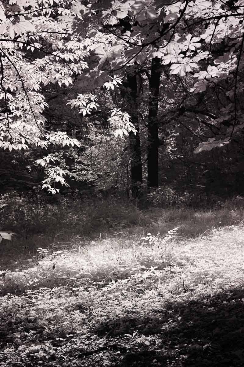 , Сергей Козинцев